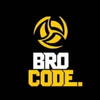Bro Code image