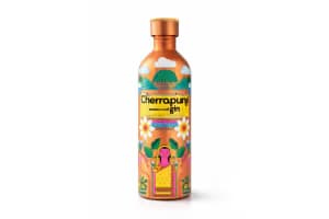 Cherrapunji Eastern Craft Gin – Original image